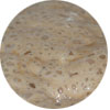 Homebrew Yeast